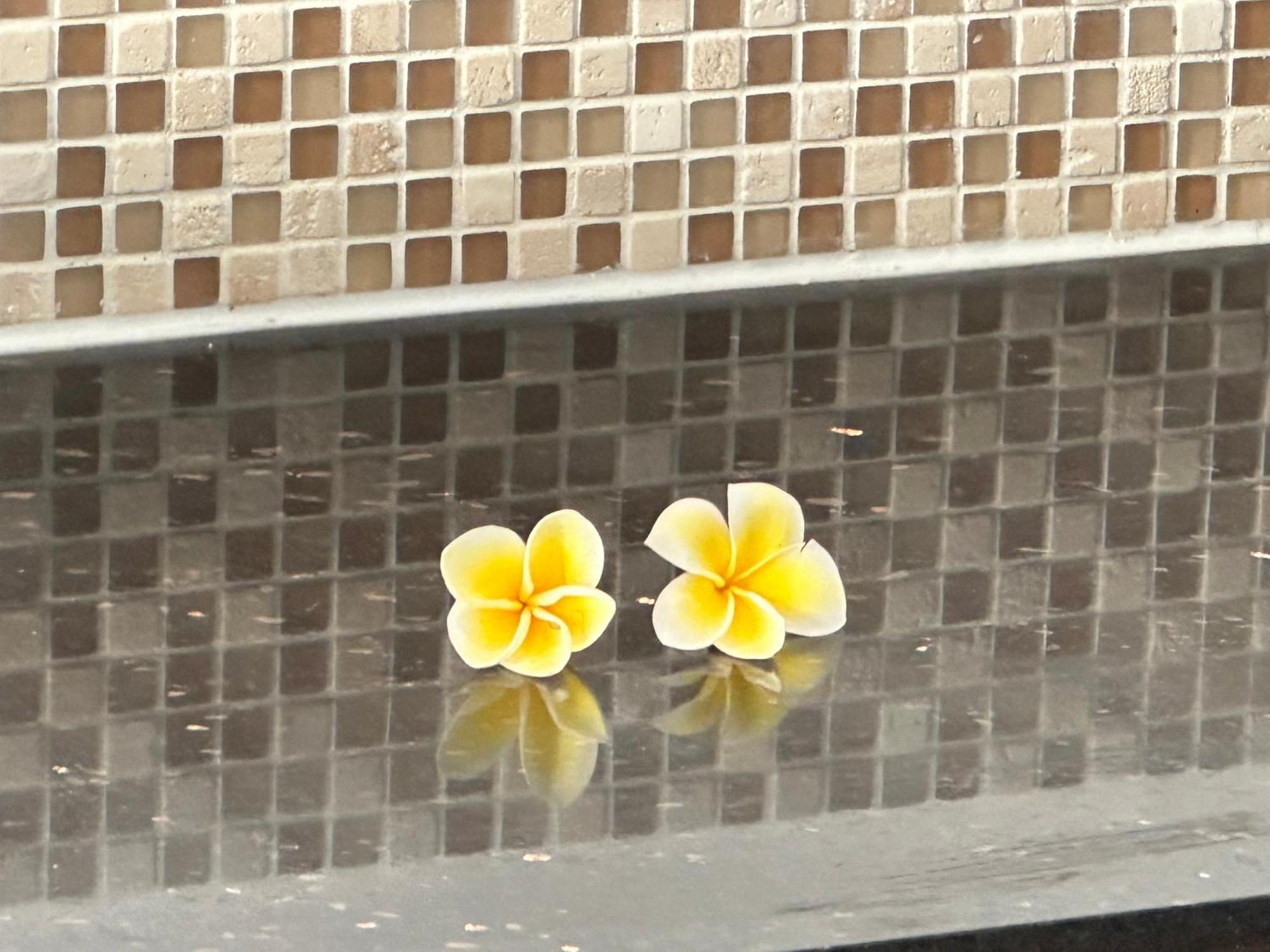 Villa Serenite Bel Ombre Ngoại thất bức ảnh